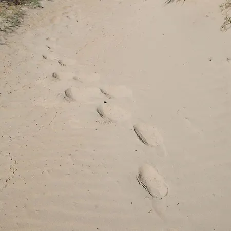 Prázdninový dům Tancredi's Seaside *